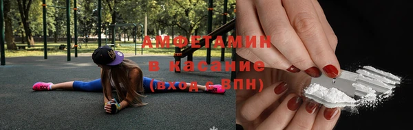 крисы Вязьма
