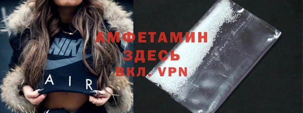 индика Верхний Тагил