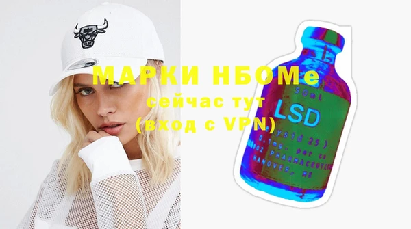 индика Верхний Тагил