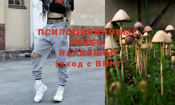 прущий лед Верея