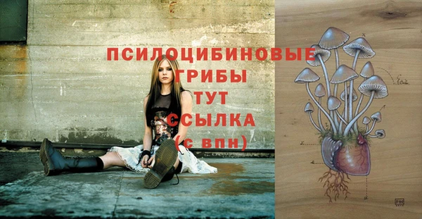 амф Вяземский