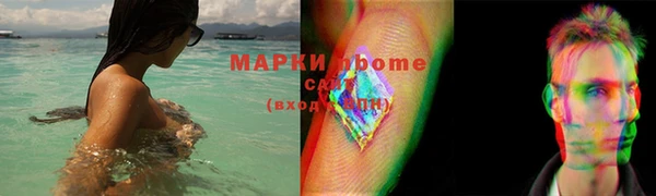 индика Верхний Тагил