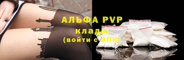 прущий лед Верея