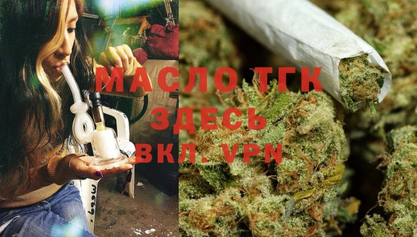 индика Верхний Тагил