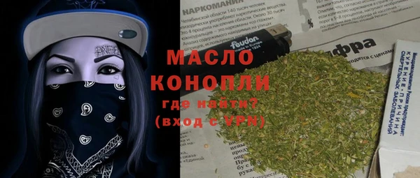 индика Верхний Тагил