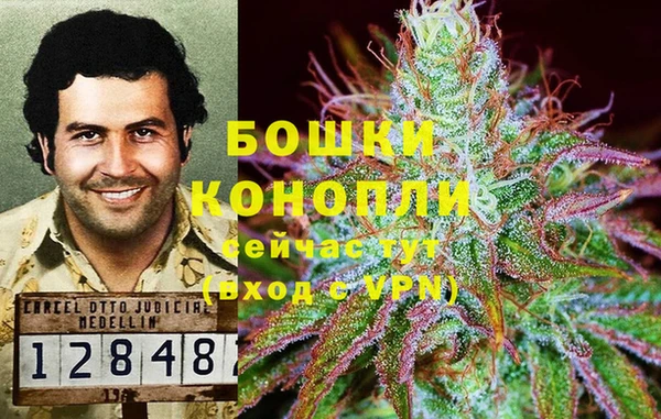 индика Верхний Тагил