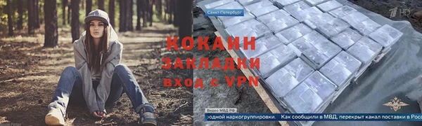 крисы Вязьма