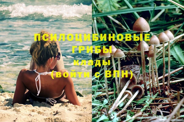 ГАЛЛЮЦИНОГЕННЫЕ ГРИБЫ Строитель